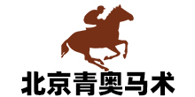 北京青奥马术