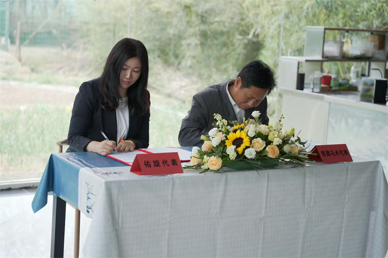 北京青奥马术签约仪式